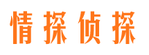 安居情探私家侦探公司